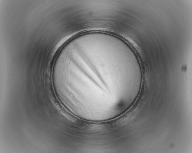 X0000089940933200707201900