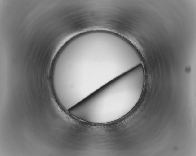 X0000089940934200707201900