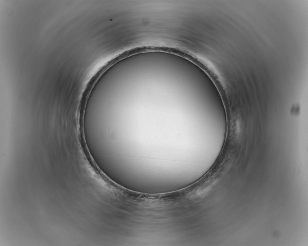 X0000089940935200707201900