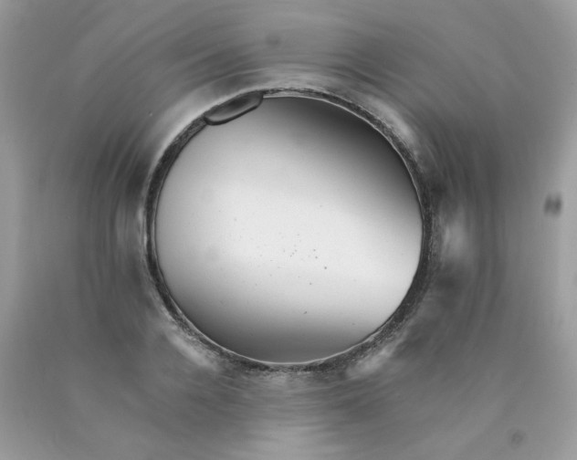 X0000089940936200707201900