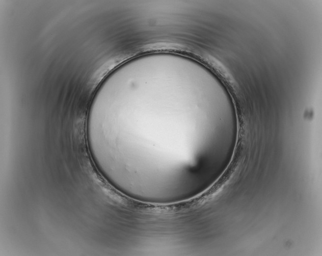 X0000089940937200707201900