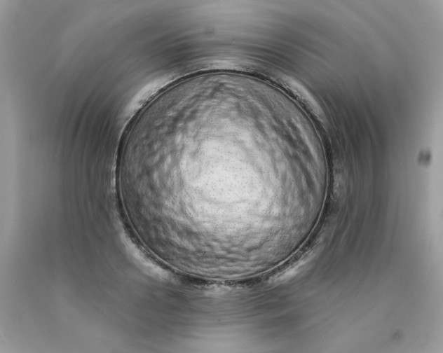 X0000089940938200707201900