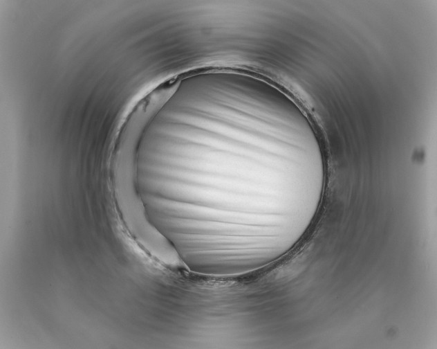 X0000089940939200707201900