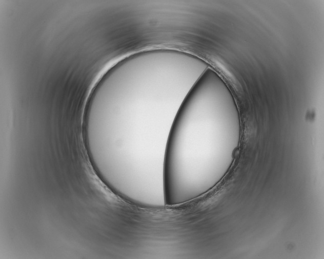 X0000089940940200707201900