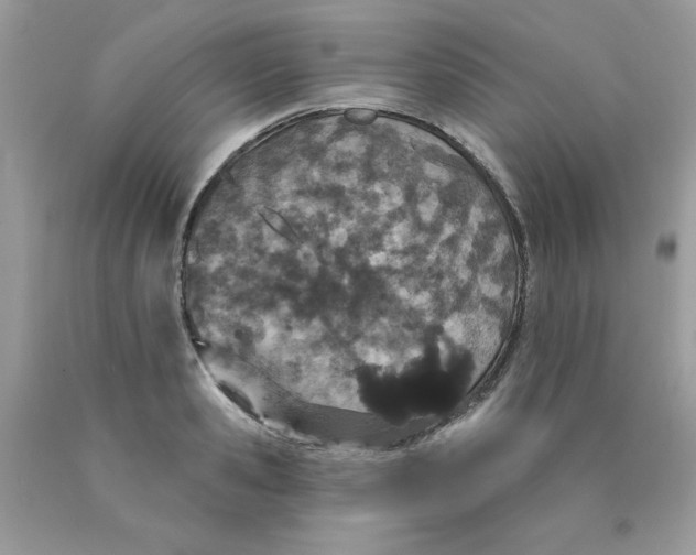 X0000089940941200707201900