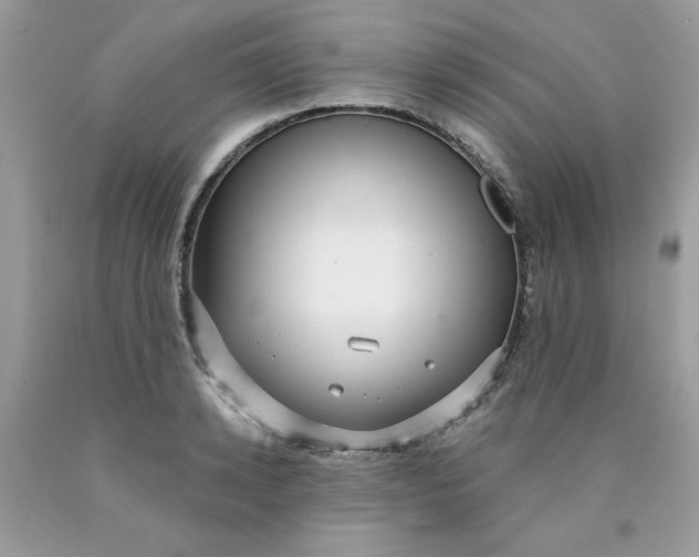 X0000089940942200707201900