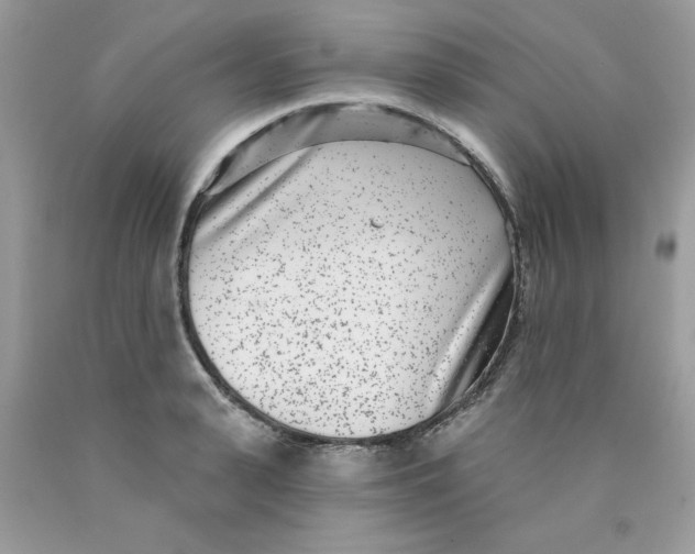 X0000089940943200707201900