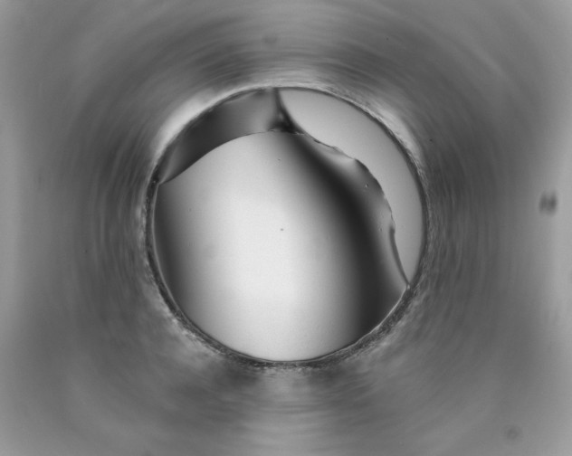 X0000089940944200707201900