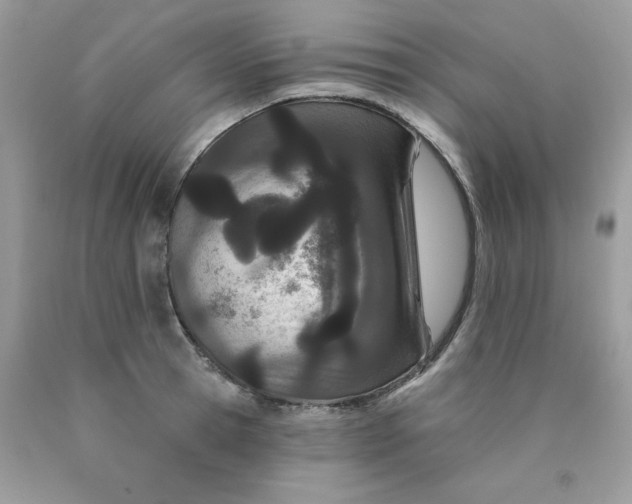 X0000089940945200707201900