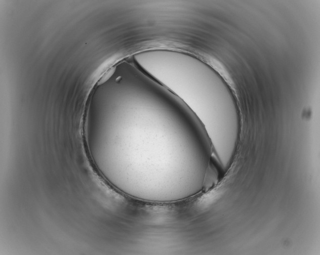 X0000089940946200707201900