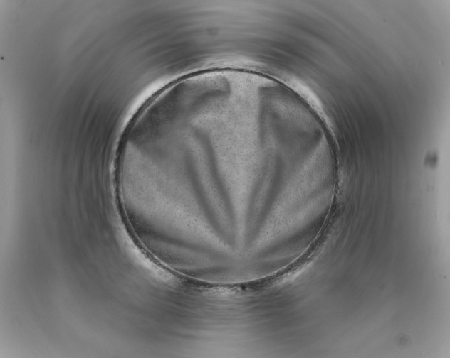 X0000089940947200707201900