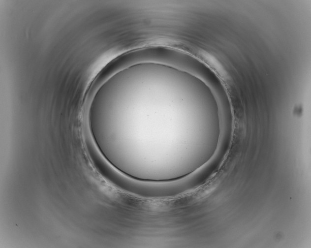 X0000089940948200707201900