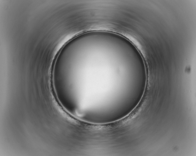 X0000089940949200707201900