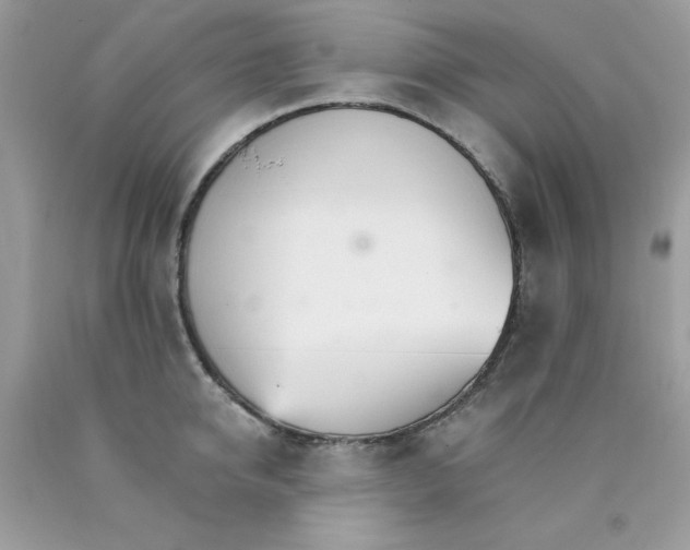 X0000089940950200707201900