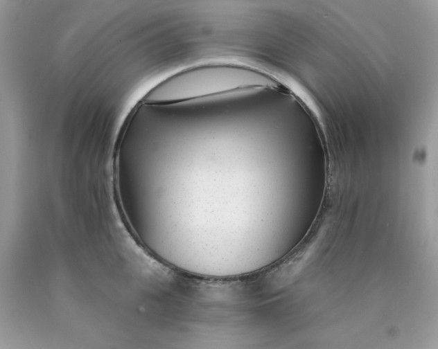 X0000089940951200707201900