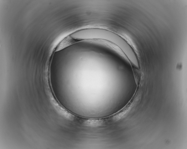 X0000089940952200707201900