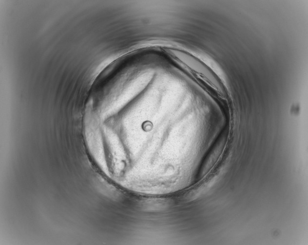 X0000089940953200707201900