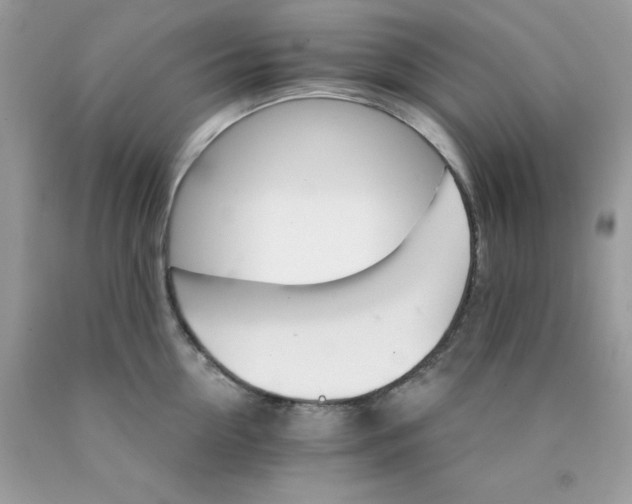 X0000089940954200707201900