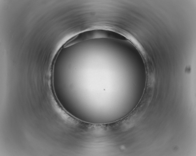 X0000089940955200707201900