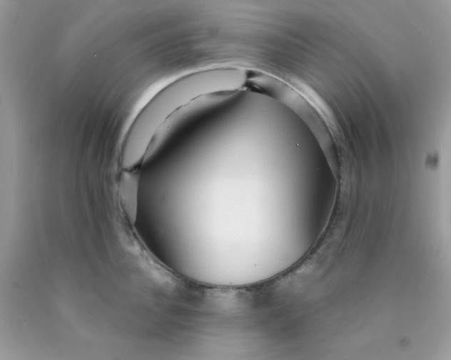 X0000089940956200707201900