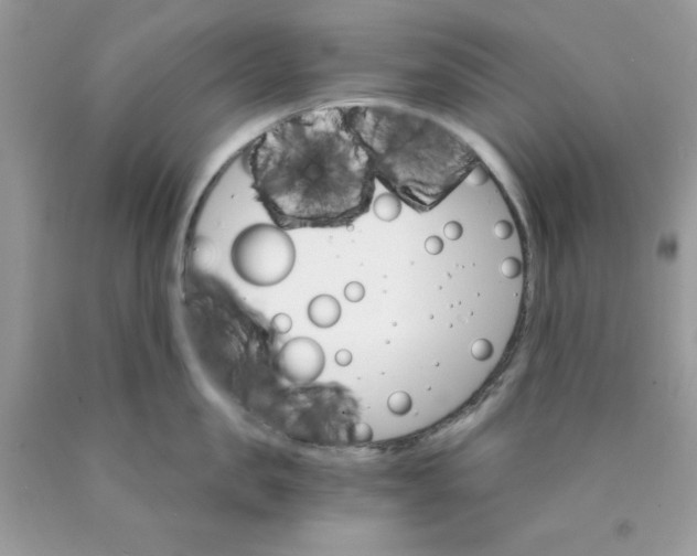 X0000089940957200707201900