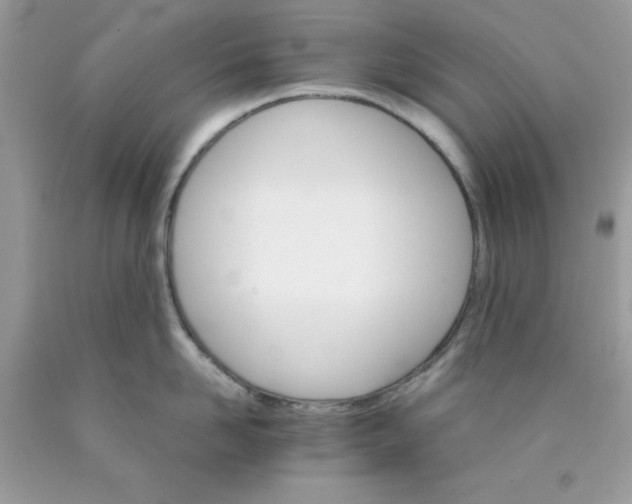 X0000089940958200707201900