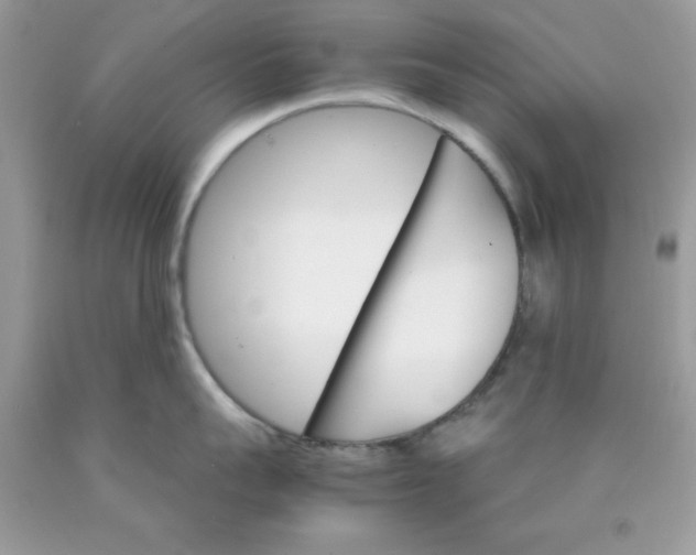 X0000089940959200707201900