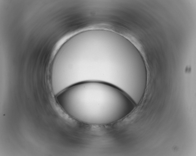 X0000089940960200707201900