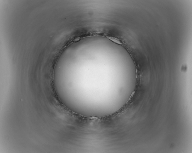 X0000089940961200707201859