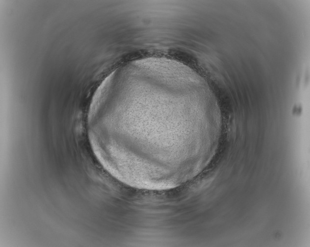 X0000089940962200707201859