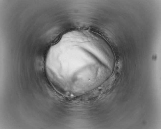 X0000089940963200707201859