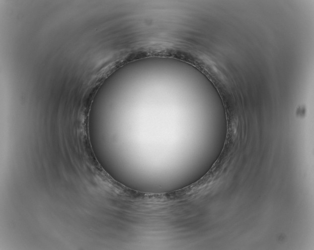 X0000089940964200707201859