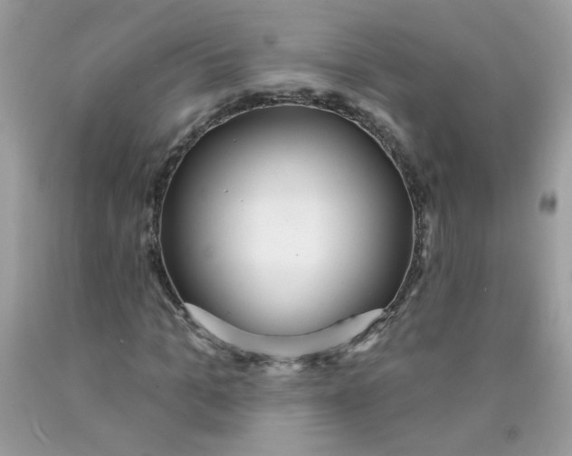 X0000089940965200707201859