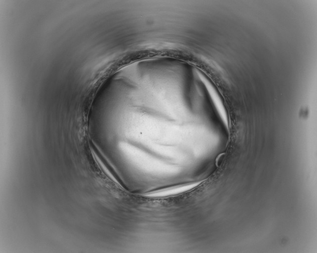 X0000089940966200707201859