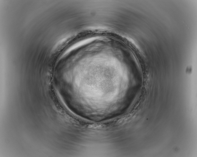 X0000089940967200707201859