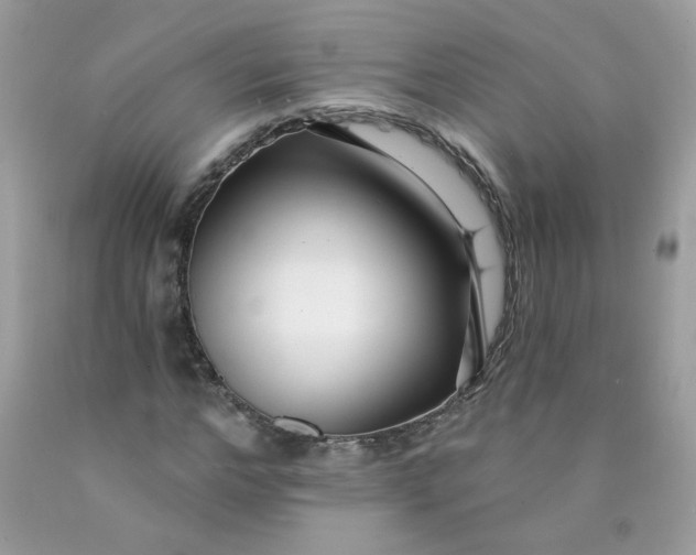 X0000089940968200707201859