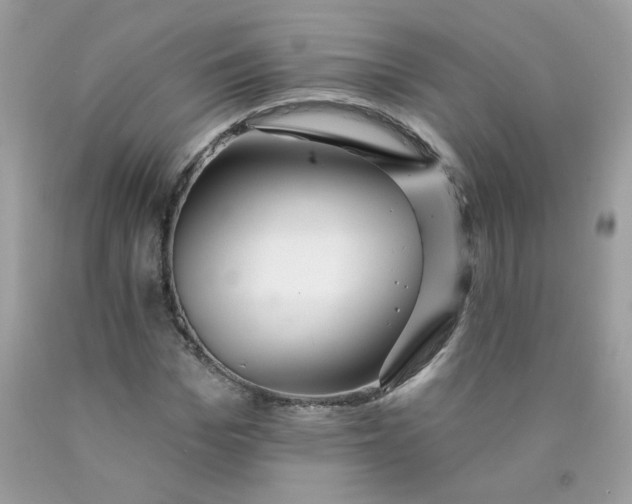 X0000089940969200707201859