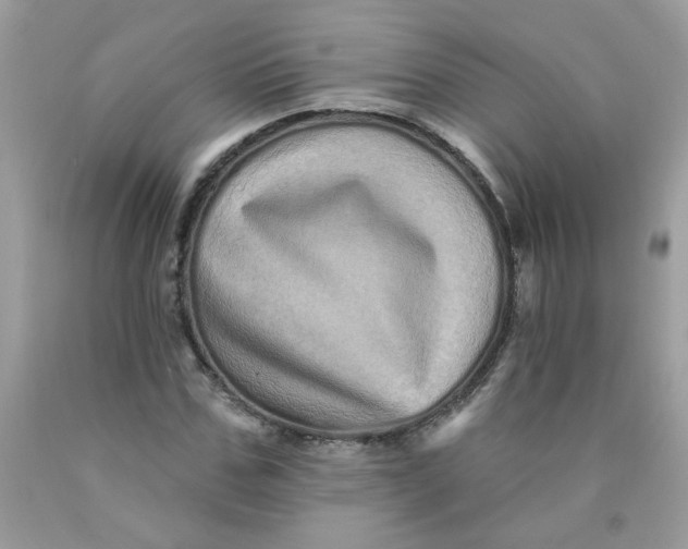 X0000089940971200707201859