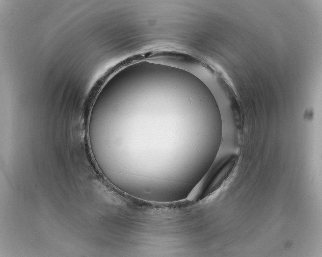 X0000089940973200707201859