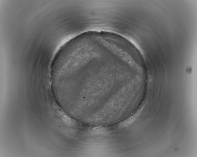 X0000089940974200707201859