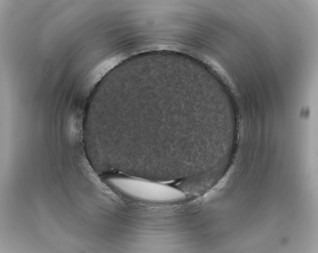 X0000089940977200707201859