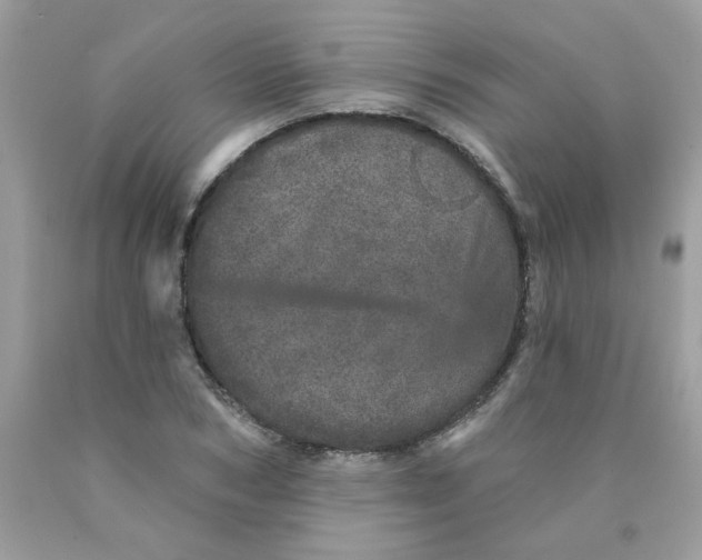 X0000089940978200707201859