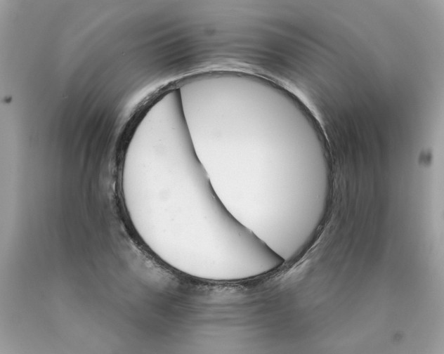 X0000089940979200707201859