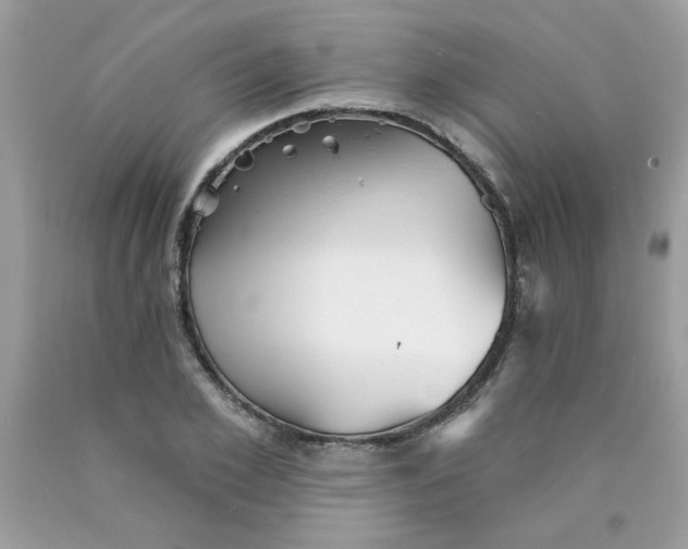 X0000089940981200707201859