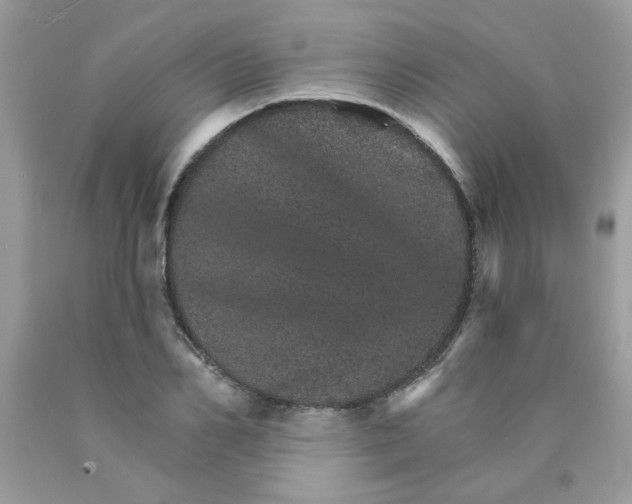 X0000089940982200707201859