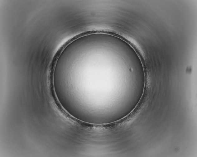 X0000089940983200707201859