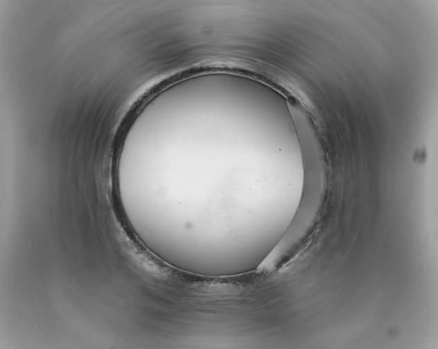 X0000089940984200707201859