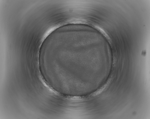 X0000089940986200707201859