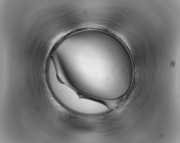 X0000089940987200707201859