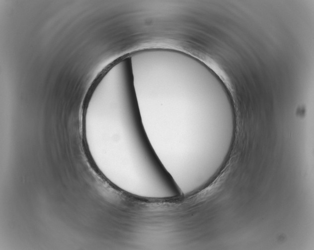 X0000089940988200707201859